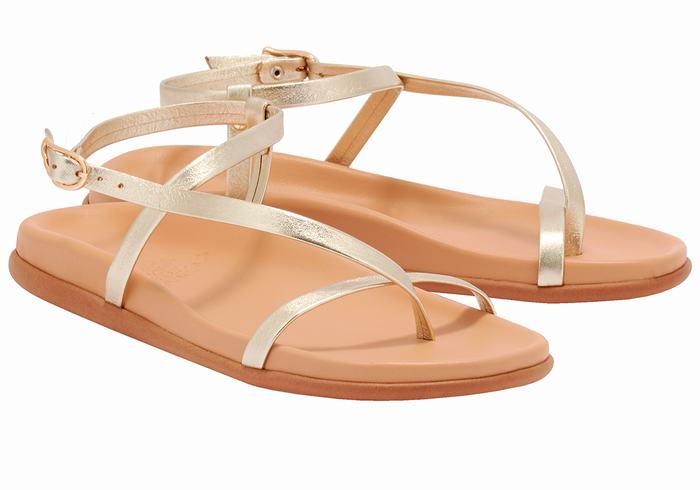 Sandales Bride Arrière Ancient Greek Sandals Aimilia   | TGI-4712572